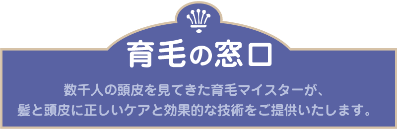 育毛の窓口